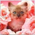 Profile Picture of Luz Ros (@luz_ross_) on Instagram