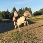 Profile Picture of Ida Melander (@ida_melanderh) on Instagram