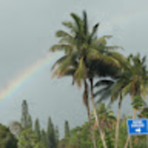 Profile Picture of Daniel Duan (@danosduan) on Poshmark