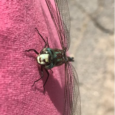 Profile Picture of Scott Richardson (@Richardson_nh) on Twitter