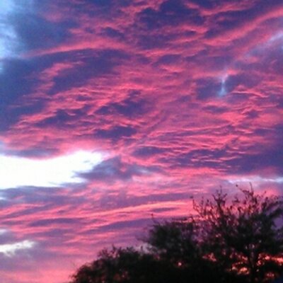 Profile Picture of Joe Preto (@Presto840) on Twitter