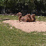 Profile Picture of Alexander Xavier terwilliger (@alexterwilliger123) on Instagram