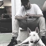 Profile Picture of Alex Pantazis (@alex_pantazis) on Instagram