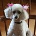 Profile Picture of Robin Gamache (@robin.gamache) on Facebook