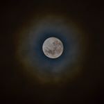Profile Picture of Corey Reynolds (@corayzyphotos) on Instagram