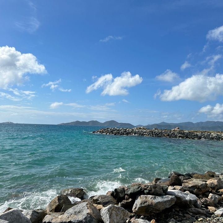 Profile Picture of Stacey Hazen (@stacey.hazen) on Tiktok