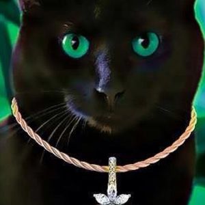 Profile Picture of Victoria Ivanova (@viktoriyai76) on Myspace