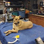 Profile Picture of Timothy Haines (@timothyhaines6) on Instagram