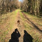 Profile Picture of David Beebe (@davidrbeebe) on Instagram