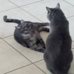 Profile Picture of David Kasner (@dnkas1) on Instagram