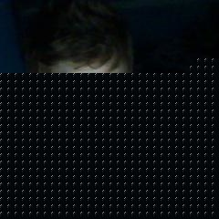 Profile Picture of Jake Widdowson (@232728497) on Myspace