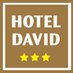Profile Picture of Hotel David (@DusDavidGames10) on Twitter