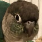Profile Picture of jill.s (@jill.sarisa) on Instagram