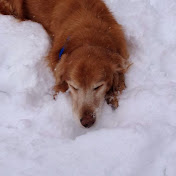 Profile Picture of Ross Olson (@randrolson) on Youtube