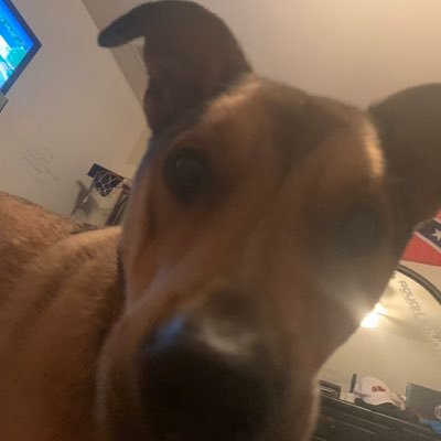 Profile Picture of Jake Michels (@JakeMichels) on Twitter