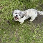 Profile Picture of Oakley Doug (@Oakley-Doug) on Facebook