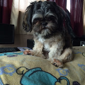 Profile Picture of Jill Pilcher (@jillp1000) on Youtube