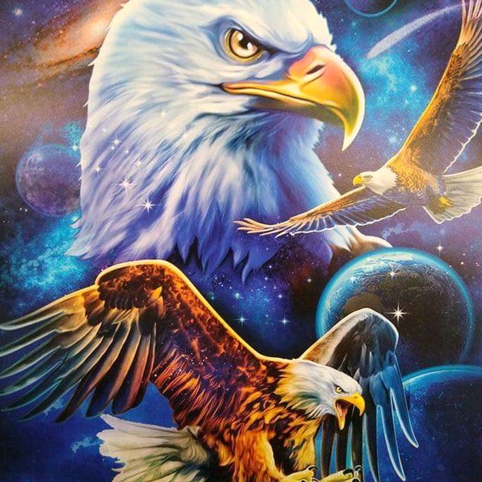 Profile Picture of kevinmillspaugh (@kevinmillspaugh) on Tiktok