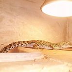 Profile Picture of Saller Teller (@Saller-Teller) on Facebook