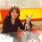 Profile Picture of Joy Coutts Smith (@joycouttssmith) on Instagram