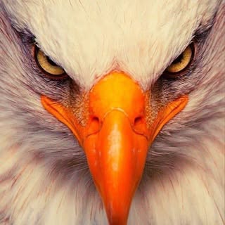 Profile Picture of Joseph Fiorillo (@fiorillojoseph) on Instagram