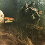 Profile Picture of Kevin Pillowpants Ramirez (@kevin_pillowpants) on Instagram