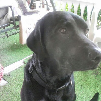 Profile Picture of Jerry Baumgartner (@Bummer1455Jerry) on Twitter