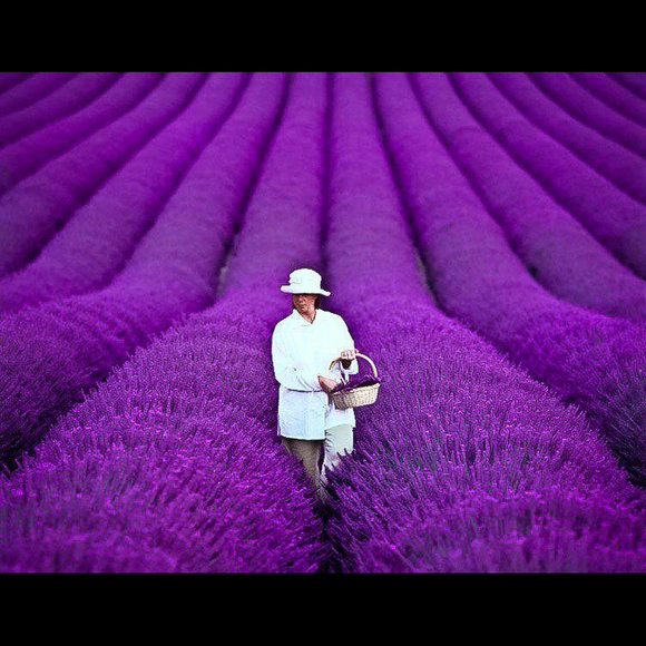 Profile Picture of Terri Freiberg (@tops800) on Poshmark