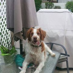 Profile Picture of Marilyn Harty (@marilynharty) on Tiktok