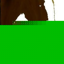 Profile Picture of Seth Maclean (@mayhem_to_carnage) on Myspace