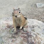 Profile Picture of Andrew Nuss (@_anuss) on Instagram