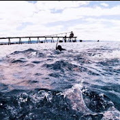 Profile Picture of Davies- (@davies-4273) on Youtube