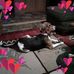 Profile Picture of Paula Hedge (@paula.hedge.5) on Facebook