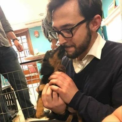 Profile Picture of Max Hollander (@MaxHollander613) on Twitter