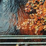 Profile Picture of Han Huynh (@han.huynh.9026) on Instagram