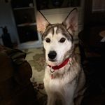 Profile Picture of Jeff Guidry (@jackdanielsjeffery) on Instagram