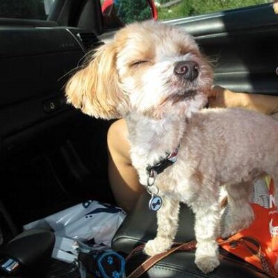 Profile Picture of Portia  Charles (@charlesportia) on Twitter