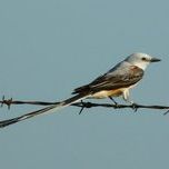 Michael Stephen - Pinterest Profile Picture of Michael Stephen (@ravenrock) on Pinterest