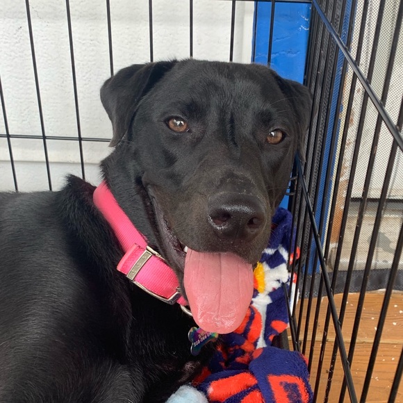 Profile Picture of Vincent Silva-pierce (@vinsp401) on Poshmark