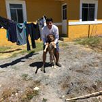 Profile Picture of Naples Fl📍🇺🇸🇫🇷🇲🇽 GGHS (@rogeliosalinas_) on Instagram