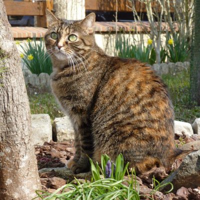 Profile Picture of Cathy Lucas (@cathylucas28) on Twitter