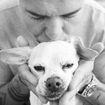 Profile Picture of Christopher Cheeseman-Finnerty (@thechrischeeseman) on Instagram