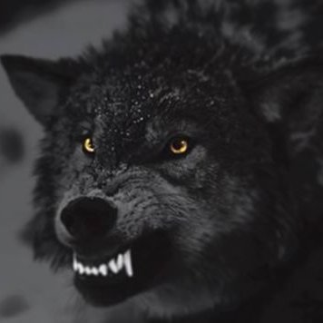 Profile Picture of Randy Fry (@RandyFry9) on Twitter