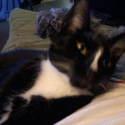 Profile Picture of David Keefer (@madmuffin1) on Twitter