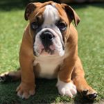 Profile Picture of Cooper Coleman (@thee.cooper) on Instagram