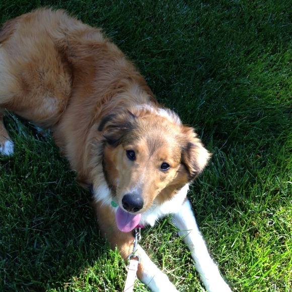 Profile Picture of Kristine Titzer (@ktitzer) on Poshmark