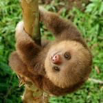 Profile Picture of Seth Baldwin (@sethbaldwin04) on Instagram