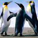 Profile Picture of Daryl Chee (@darylchee) on Pinterest