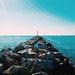 Profile Picture of Derek Kim (@facebookdkim) on Pinterest