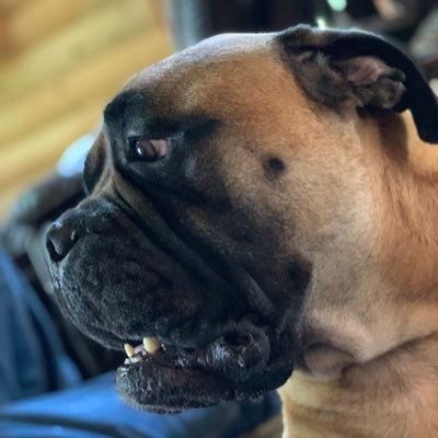 Profile Picture of David Shiver (@DavidShiver6) on Twitter